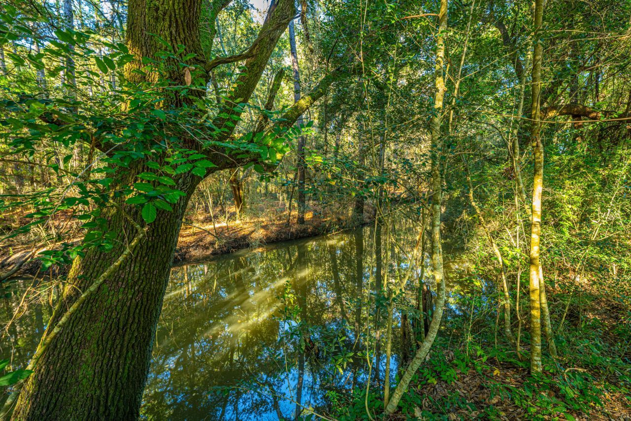 1063 S Pinckney Street Photo 15