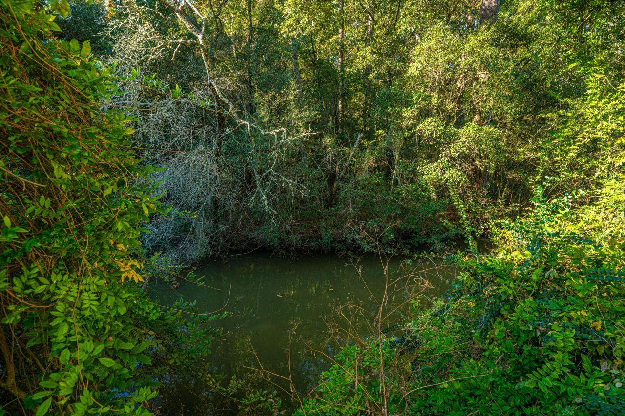 1063 S Pinckney Street Photo 16