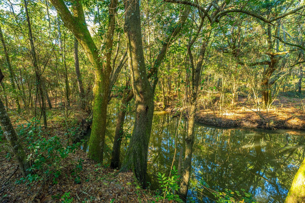 1063 S Pinckney Street Photo 5