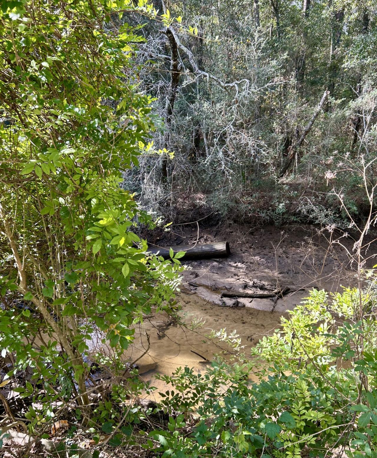 1063 S Pinckney Street Photo 7