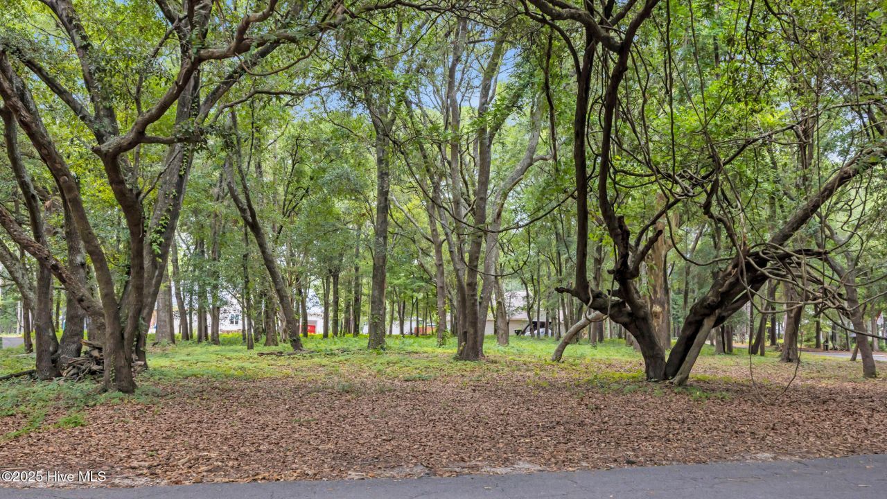 1900 Egret Street Sw, Shallotte, NC 28470 Main Photo