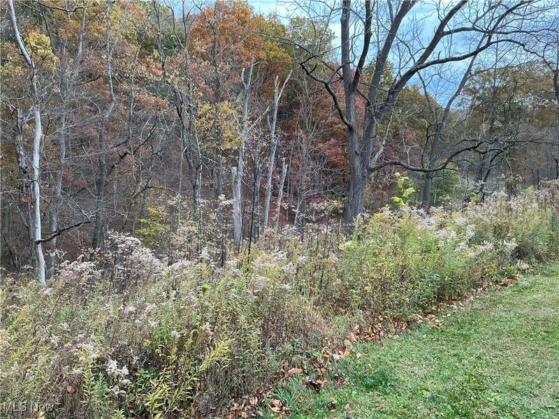 10550 Symmes Creek Road, Adamsville, OH 43802 Photo 20