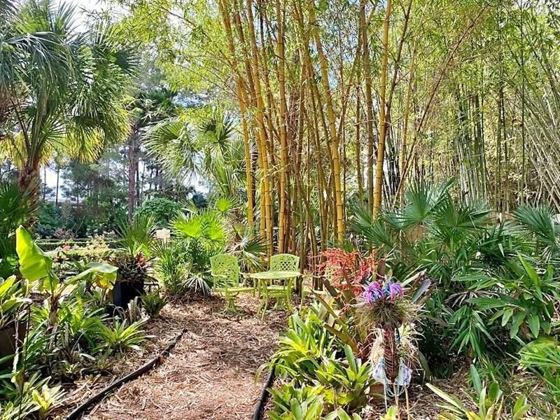 1229 SW San Antonio Ave, Port Saint Lucie, FL 34953 Photo