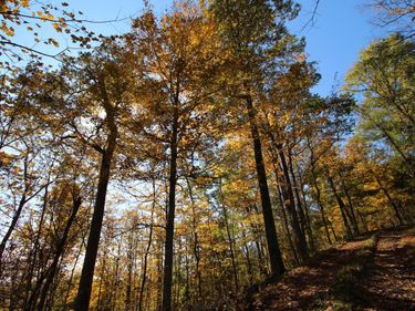 4925 Flat Creek Road, Frankfort, KY 40601