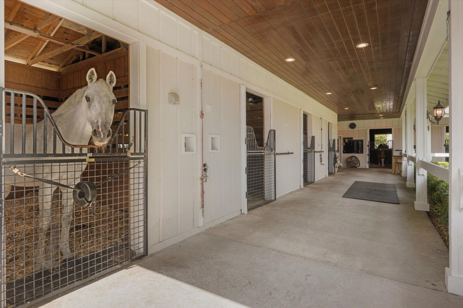 5995 130th Avenue S, Wellington, FL 33449 Photo