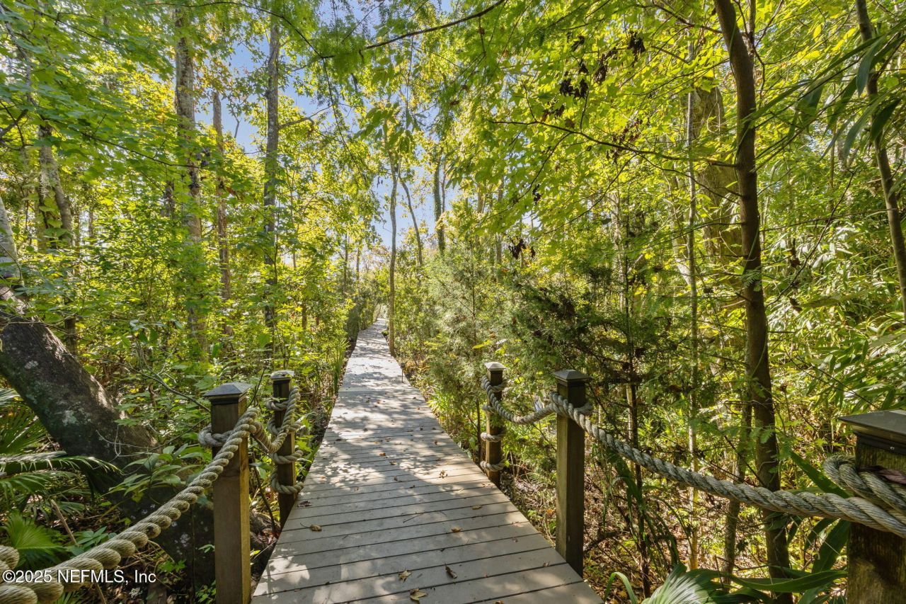 2245 Reed Street, Orange Park, FL 32073 Photo