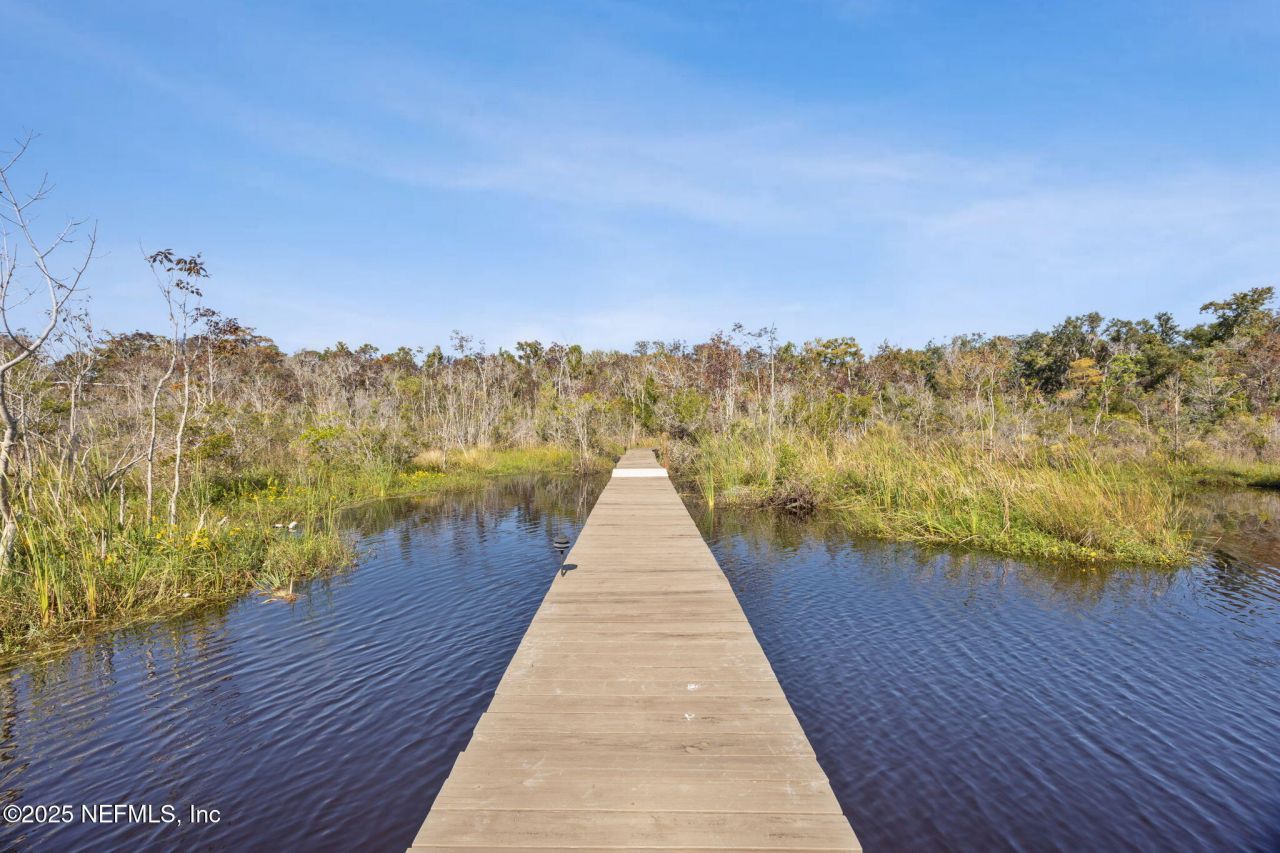 2245 Reed Street, Orange Park, FL 32073 Photo