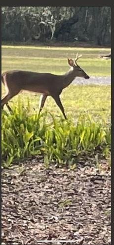 2203 Hidden Pond Road, Plant City, FL 33565 Photo