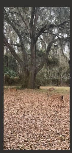 2203 Hidden Pond Road, Plant City, FL 33565 Photo
