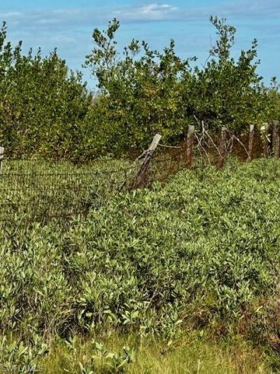 5209 Western Dr, Saint James City, FL 33956 Photo