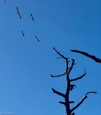 5209 Western Dr, Saint James City, FL 33956 Photo