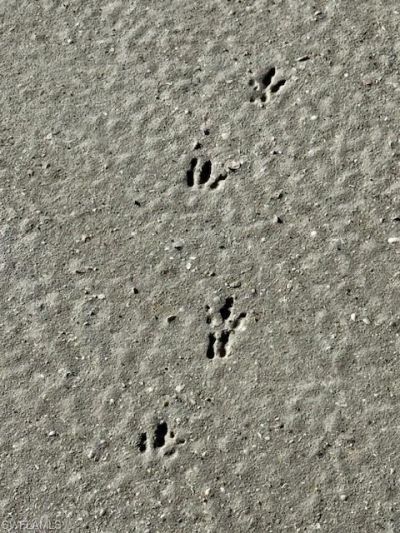 5209 Western Dr, Saint James City, FL 33956 Photo