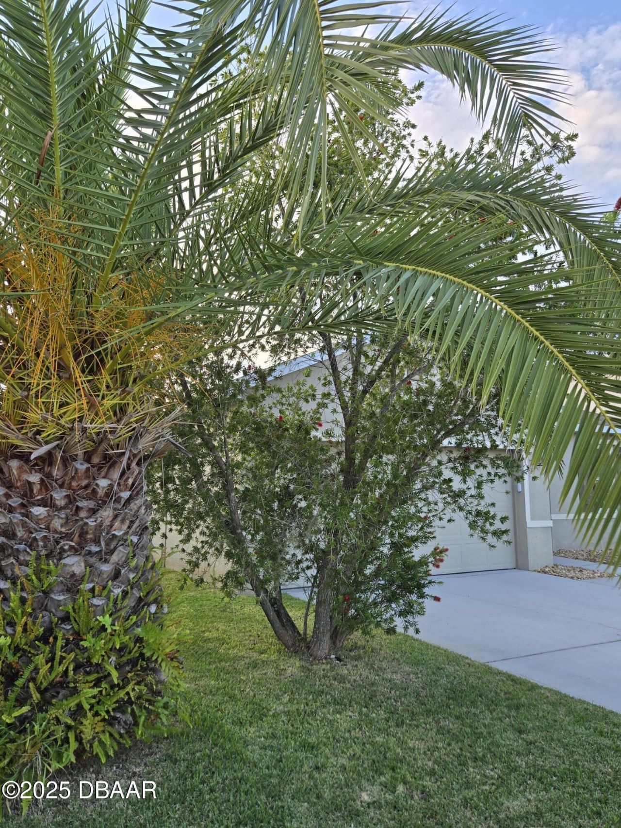 442 Pink Coral Lane, New Smyrna Beach, FL 32168 Photo