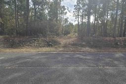 0 Ben Franklin Road photo 4