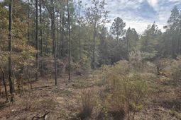 0 Ben Franklin Road photo 4