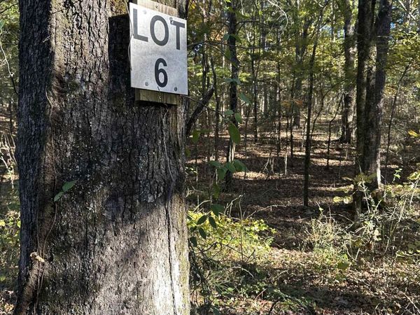 226 Cathedral Pines Ln, Mena, AR 71953