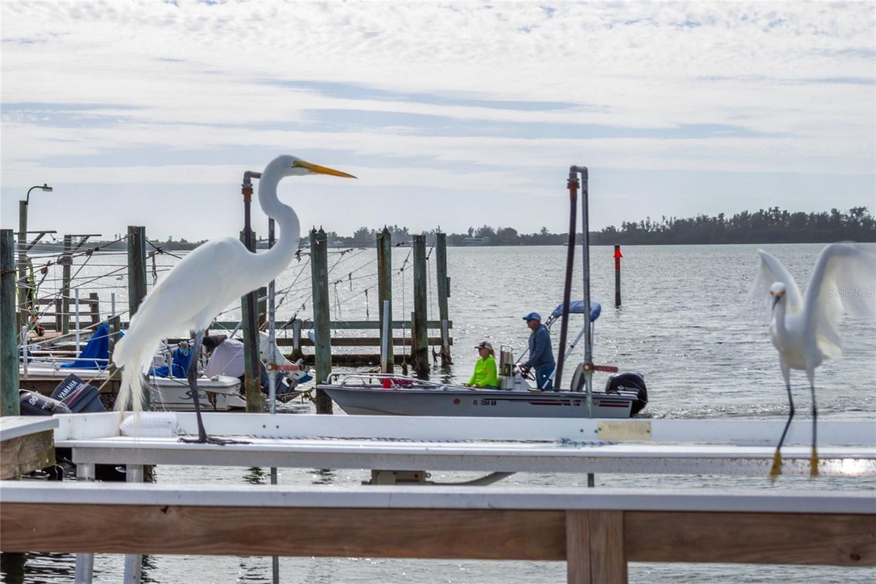 10315 Cortez Road W, Unit 19H, Bradenton, FL 34210 Photo