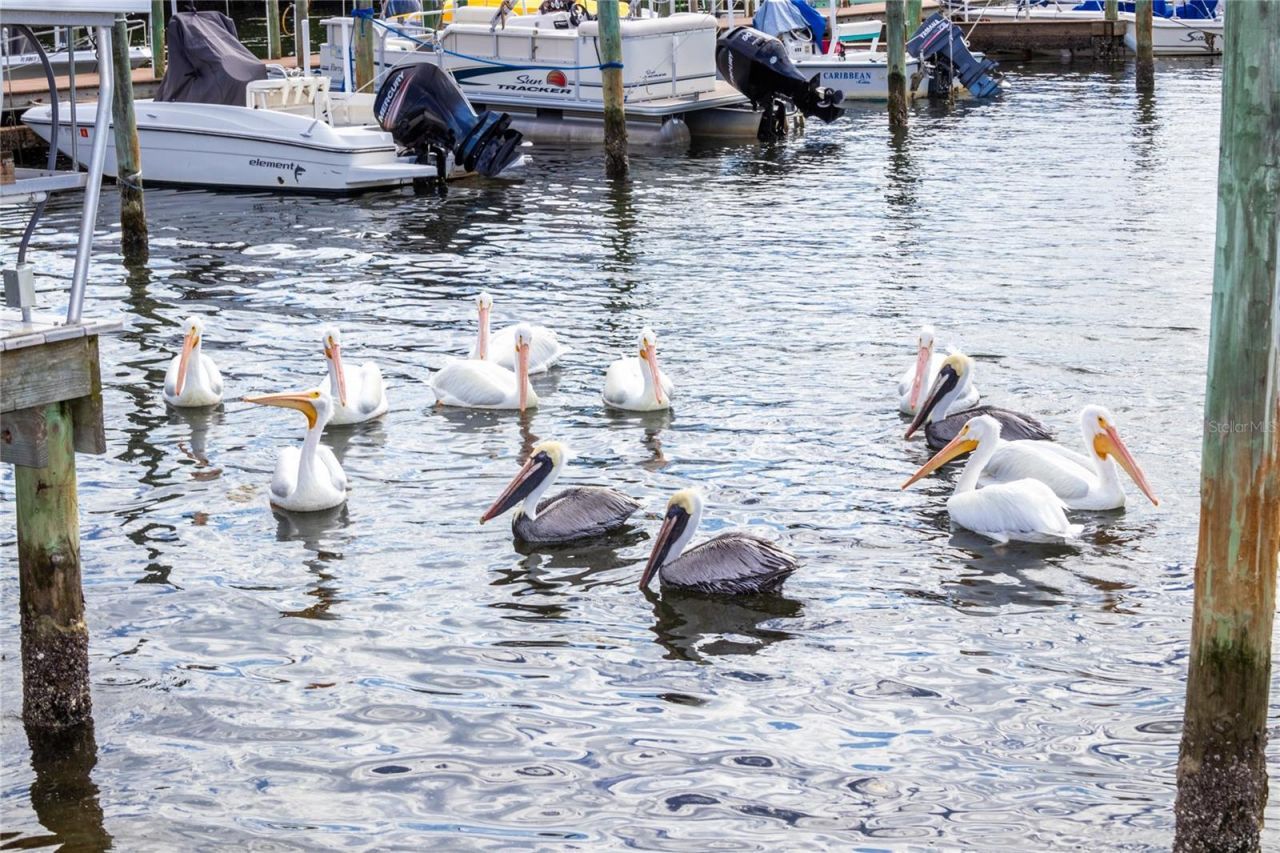 10315 Cortez Road W, Unit 19H, Bradenton, FL 34210 Photo