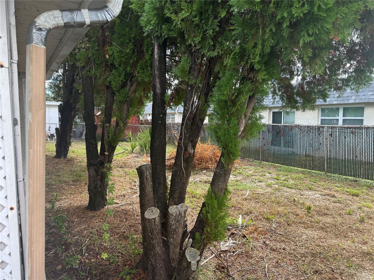 9741 Scenic Drive, Port Richey, FL 34668 Photo