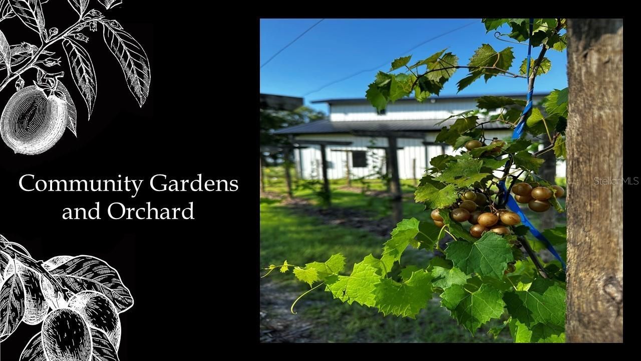 5547 SW 125th Circle, Archer, FL 32618 Photo