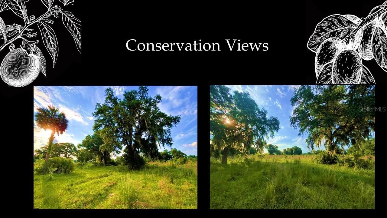 5547 SW 125th Circle, Archer, FL 32618 Photo