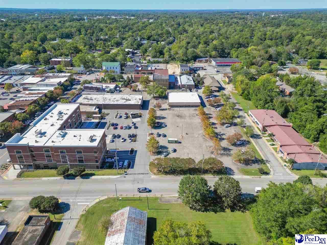 1 Village Park Photo 57