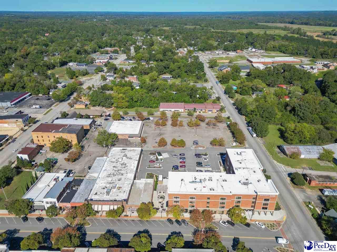 1 Village Park Photo 58