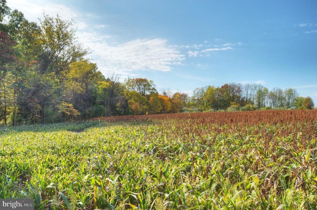 0 Mountain View, Skillman, NJ 08558 Main Photo