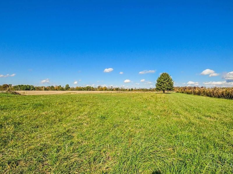 1950 W Taylor School Road, Milford Twp, OH 45013 Photo 68