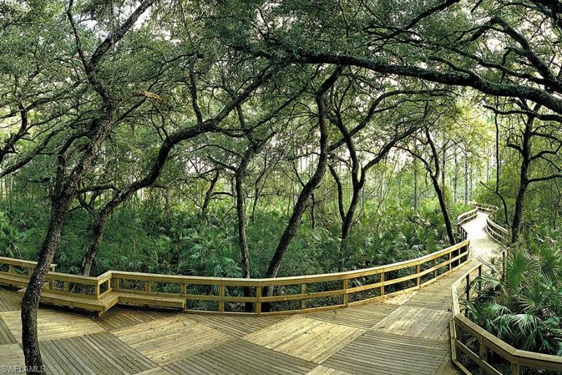 10530 Amiata Way, Unit 105, Fort Myers, FL 33913 Photo