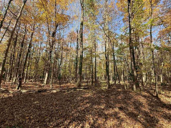 1414 Collins Mill Road, Newport Town, VT 05857