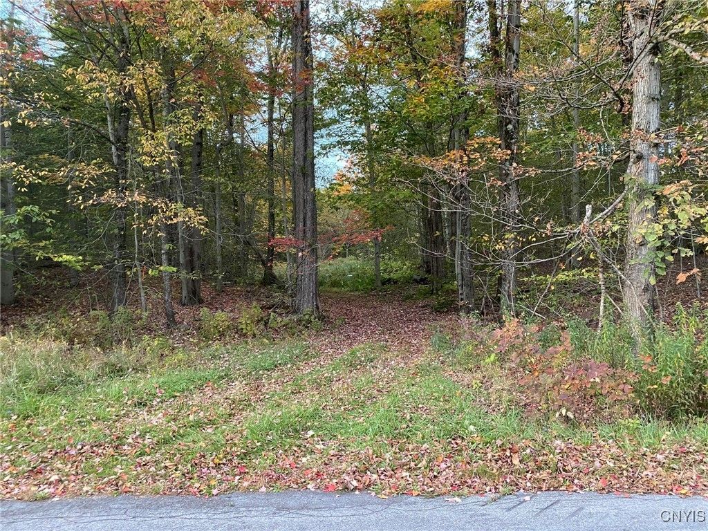 Voorhees Road, Parish, NY 13131 Main Photo