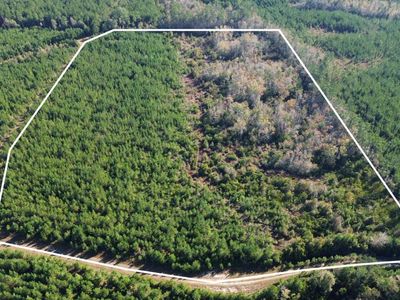 16 Hwy 311, Cross, SC 29436