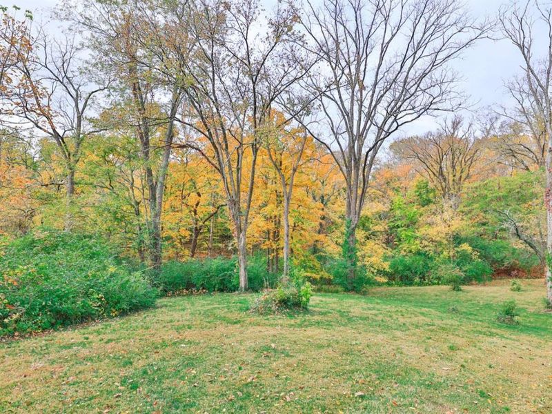 269 Compton Road, Wyoming, OH 45215 Photo 54