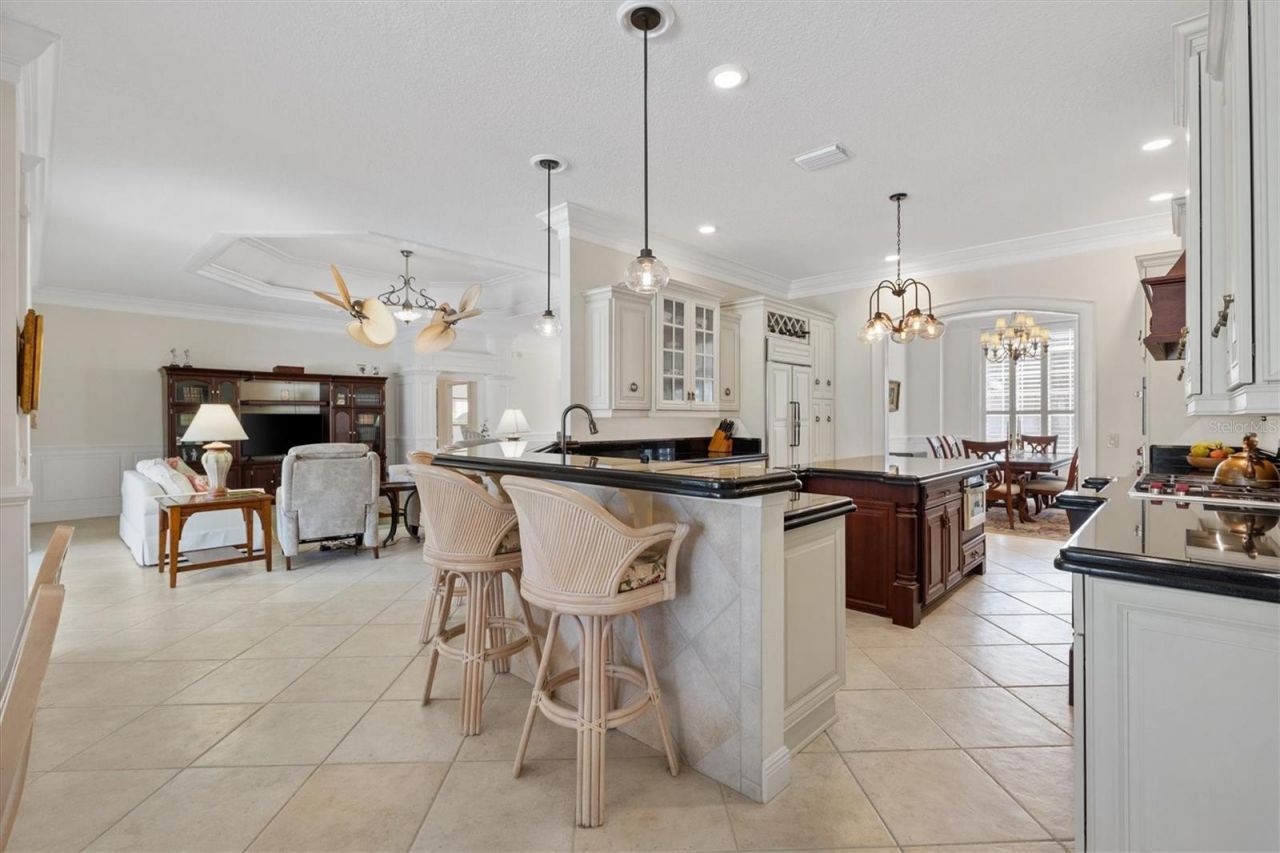 664 Ternberry Forest Drive, The Villages, FL 32162 Photo