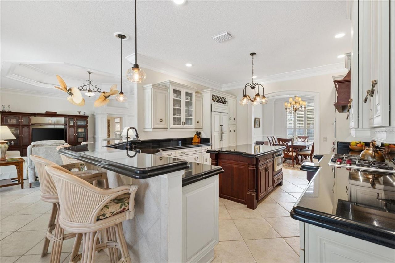 664 Ternberry Forest Drive, The Villages, FL 32162 Photo