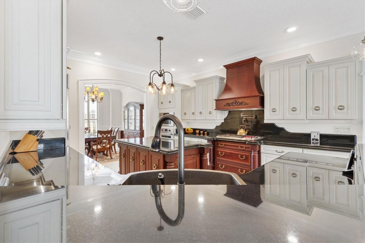 664 Ternberry Forest Drive, The Villages, FL 32162 Photo