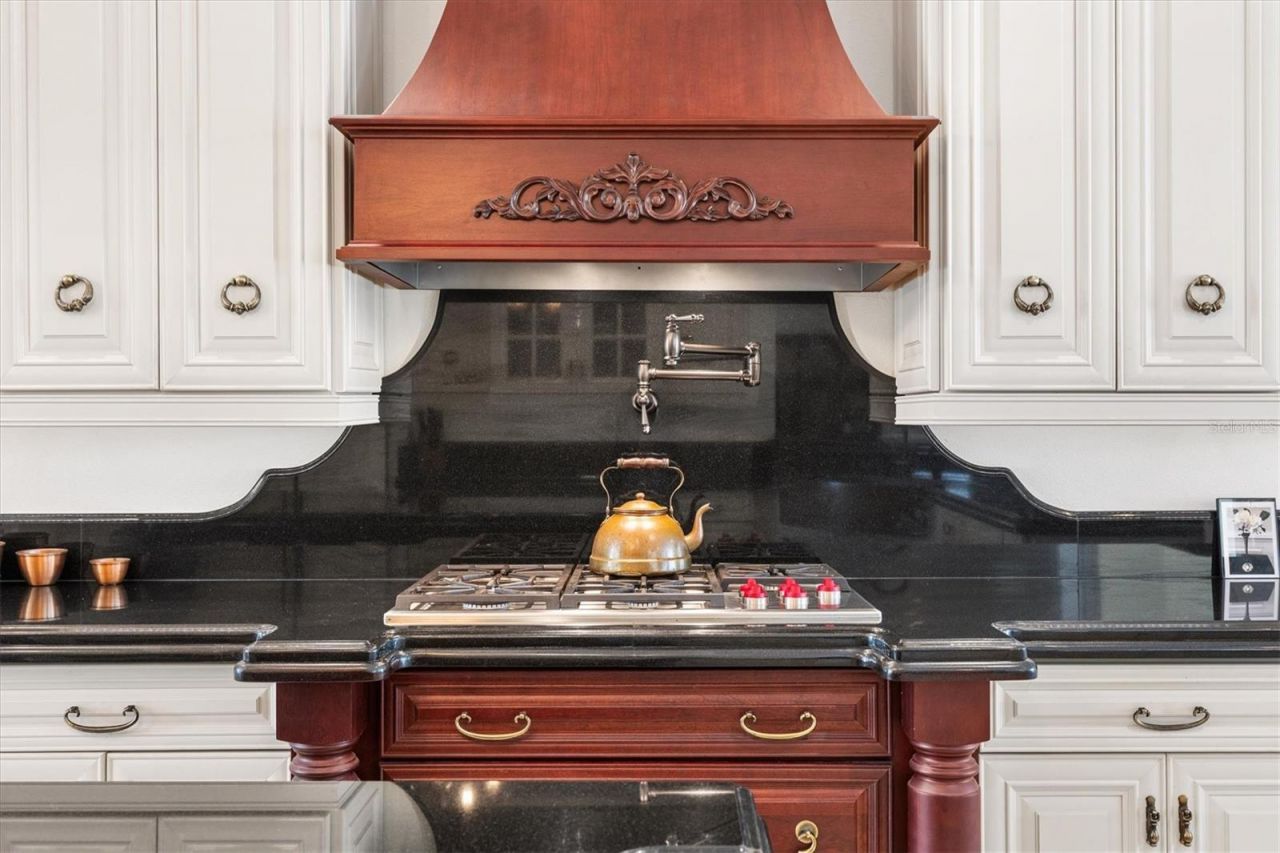 664 Ternberry Forest Drive, The Villages, FL 32162 Photo