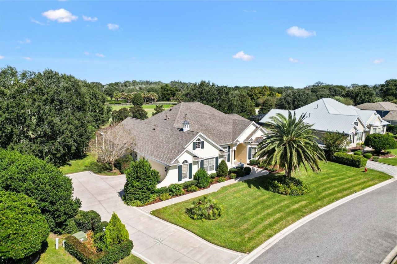 664 Ternberry Forest Drive, The Villages, FL 32162 Photo