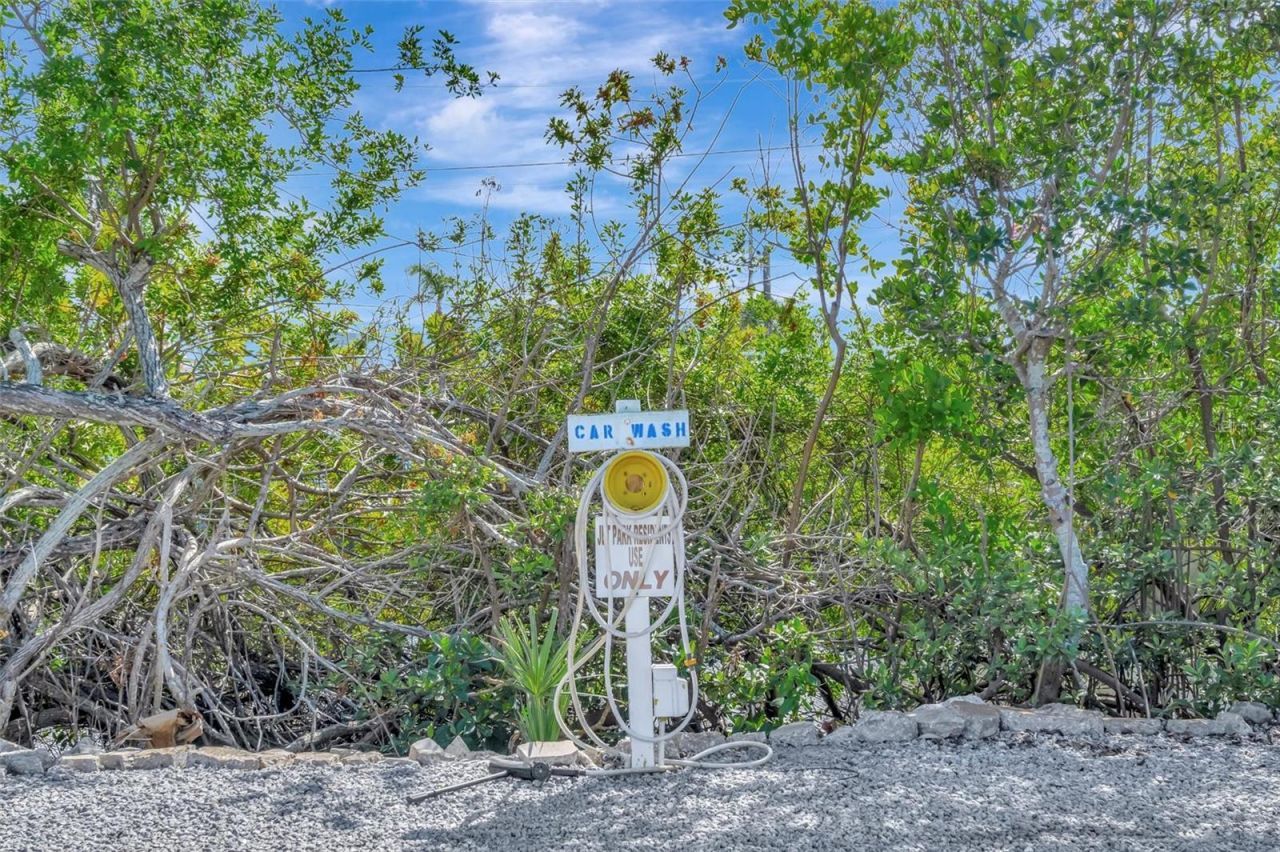 247 Palm Lane, Palmetto, FL 34221 Photo