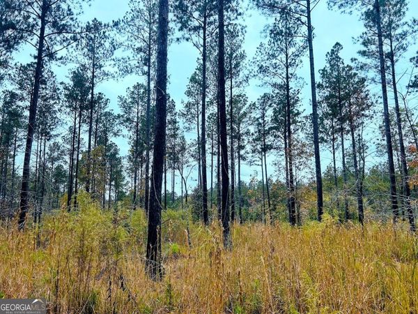 592 Andrew Caldwell Road, Unit TRACT 2A, Lexington, GA 30648