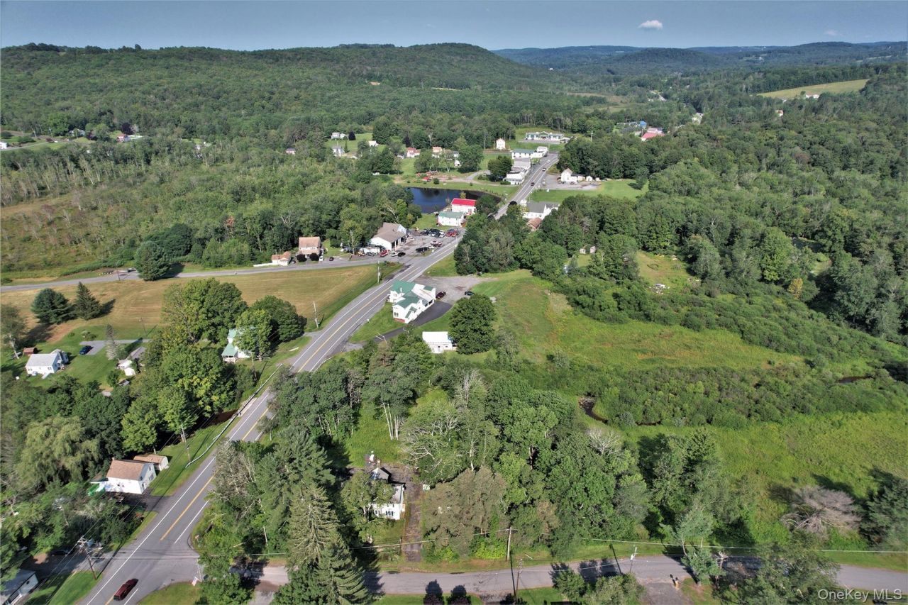 *00 Rt. 52 And Mineral Springs Road, White Sulphur Springs, NY 12787 Main Photo
