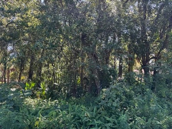 BEAU COURT, ORANGE CITY, FL 32763