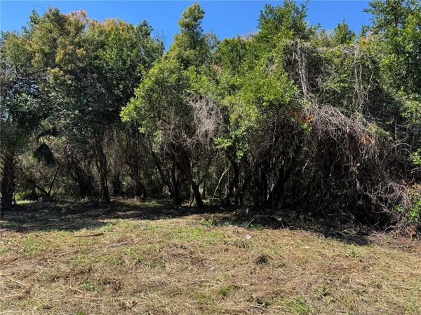 BEAU COURT, ORANGE CITY, FL 32763