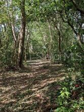 2830 S French Avenue, Sanford, FL 32773 Photo