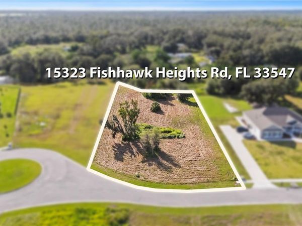 15323 FISHHAWK HEIGHTS RUN, LITHIA, FL 33547