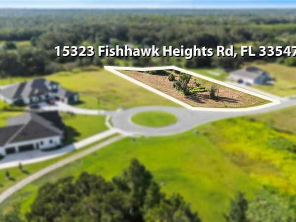 15323 FISHHAWK HEIGHTS RUN, LITHIA, FL 33547