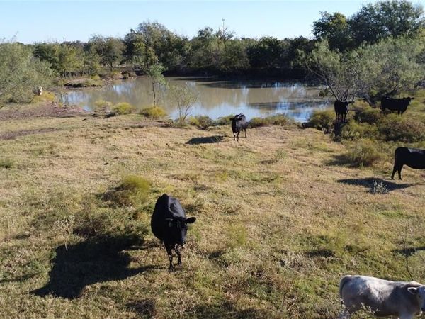 0000 County Road 3363, Mount Calm, TX 76673