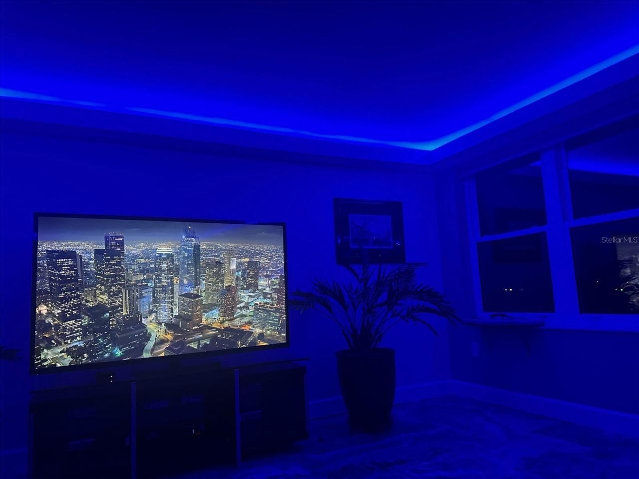 5200 Brittany Drive S, Unit 204, Saint Petersburg, FL 33715 Photo