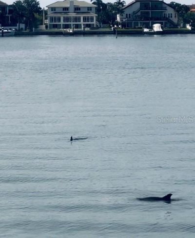 5200 Brittany Drive S, Unit 204, Saint Petersburg, FL 33715 Photo